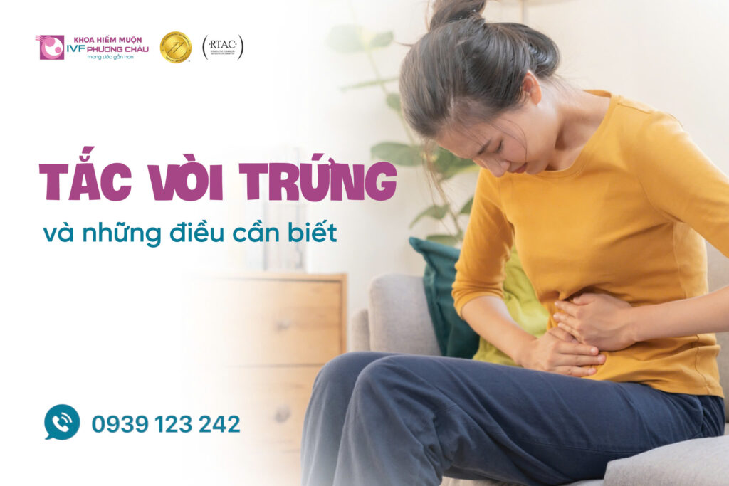 Tắc Vòi Trứng Và Những Điều Cần Biết