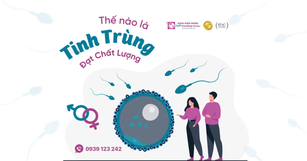 Thế Nào Là Tinh Trùng Đạt Chất Lượng?