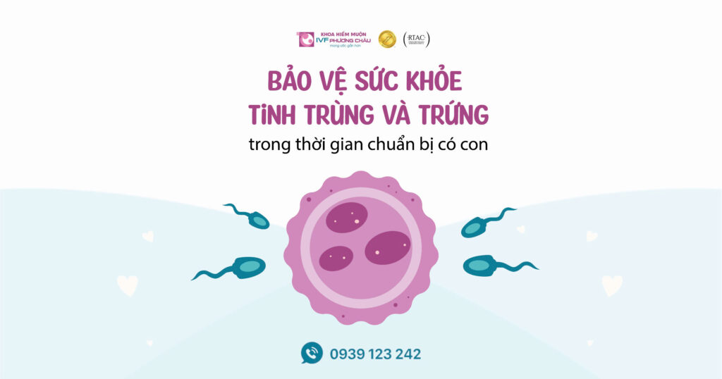 Bảo vệ sức khỏe tinh trùng và trứng trong thời gian chuẩn bị có con