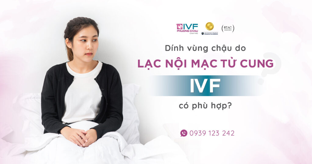 Dính vùng chậu do lạc nội mạc tử cung: IVF có phù hợp?