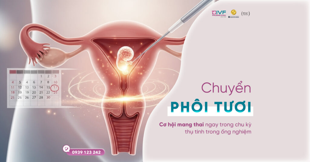 Chuyển phôi tươi – Cơ hội mang thai ngay trong chu kỳ IVF