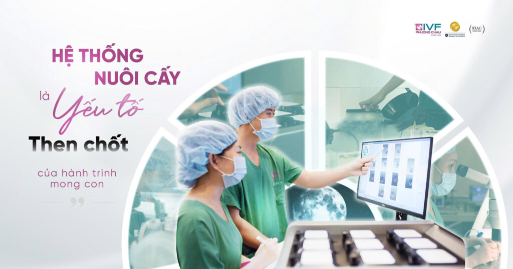 Hệ thống nuôi cấy là yếu tố then chốt của hành trình mong con