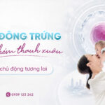 Trữ Trứng: Giải Pháp Chủ Động Tương Lai Cho Phụ Nữ Hiện Đại