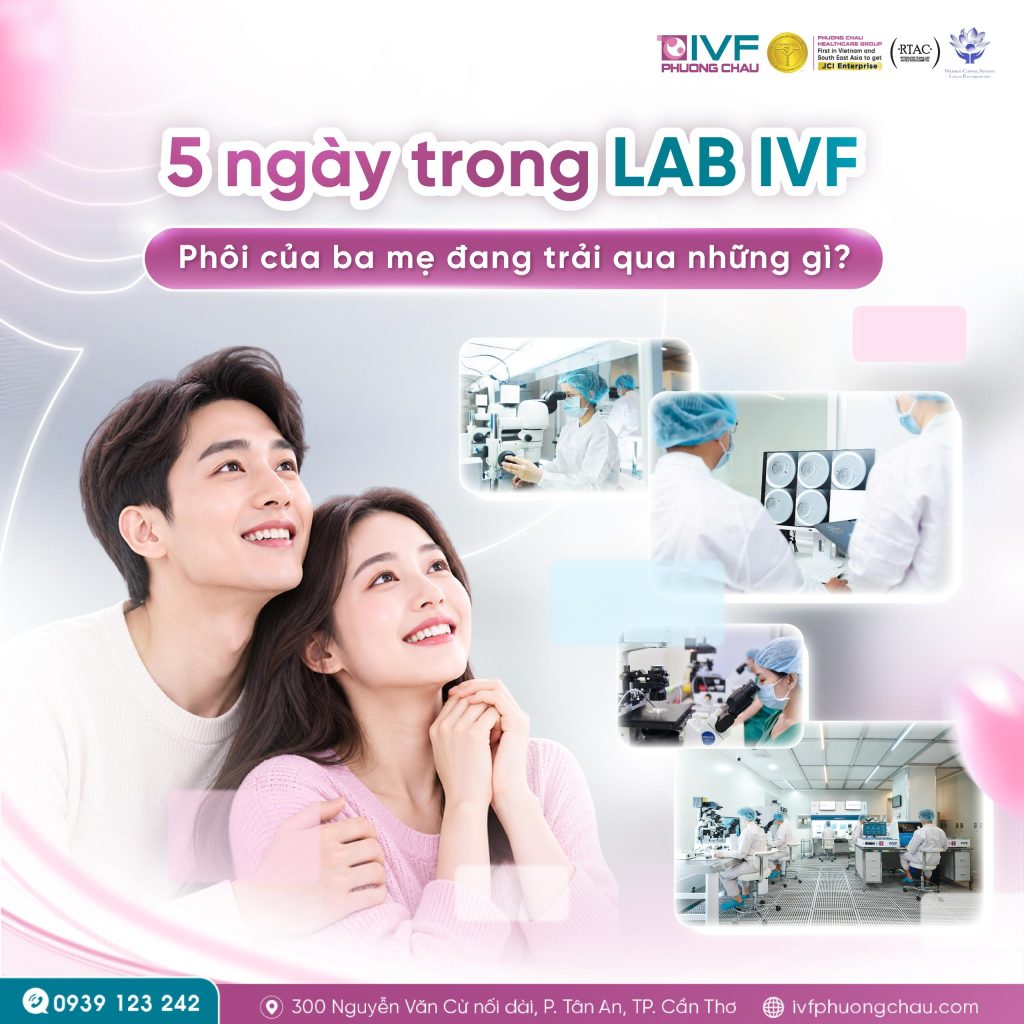 5 ngày trong La: Hành trình phát triển của phôi diễn ra như thế nào?