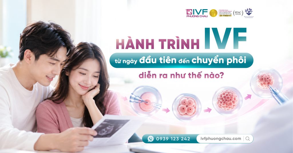 Hành Trình IVF Từ Thăm Khám Ban Đầu Đến Chuyển Phôi Sẽ Như Thế Nào?