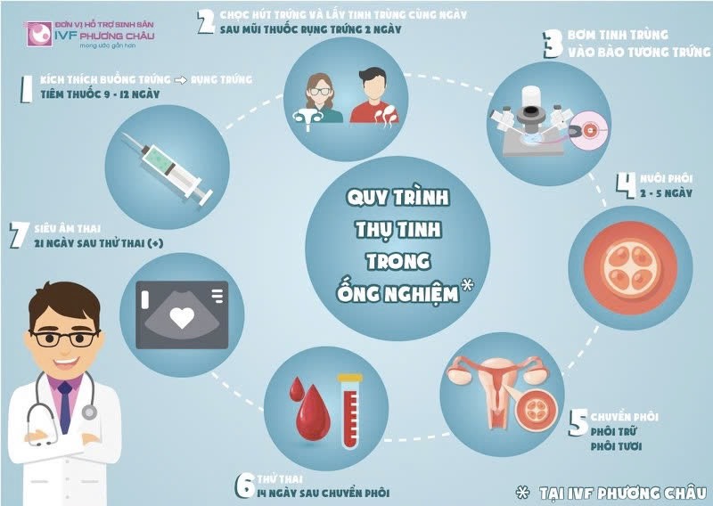 Quy trình thực hiện thụ tinh trong ống nghiệm tại IVF Phương Châu